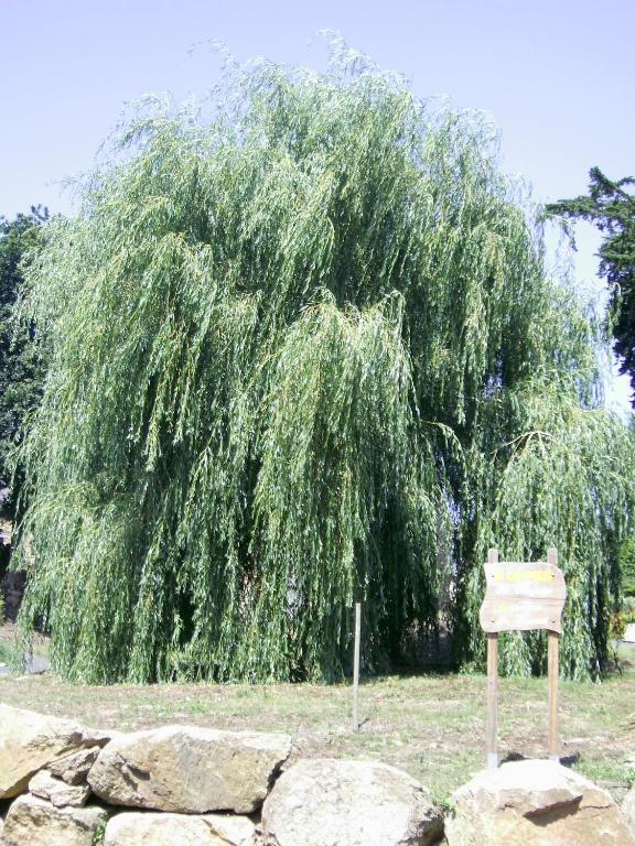 La Bergerie Villa Camlez Ngoại thất bức ảnh